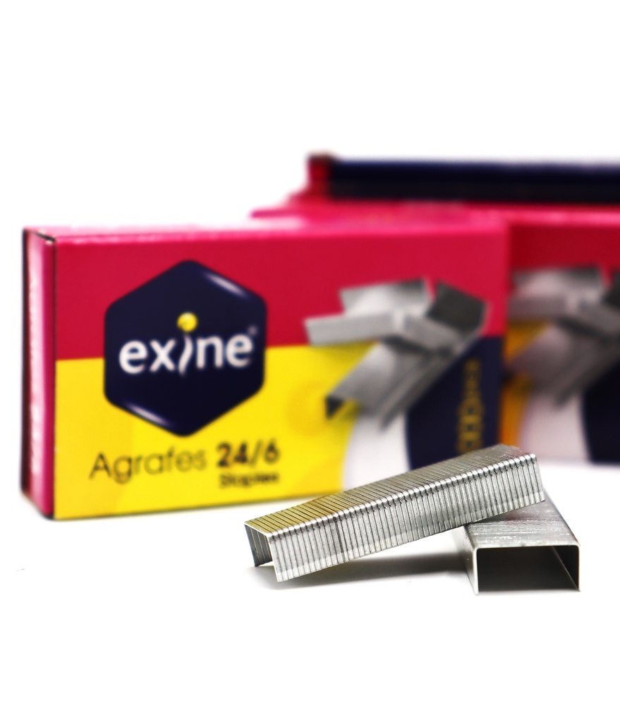 AGRAFES 24*6 EXINE IB5101 ZB246(10/500)